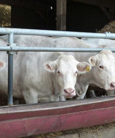 Ferme de Maurepas