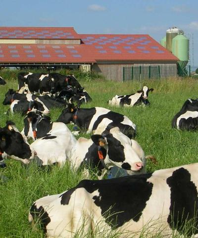 Ferme du Bois